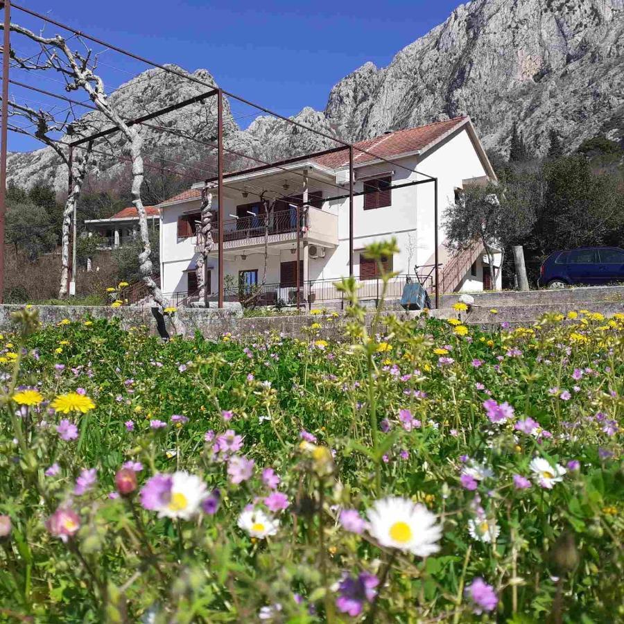 B & M Apartments Kotor Extérieur photo