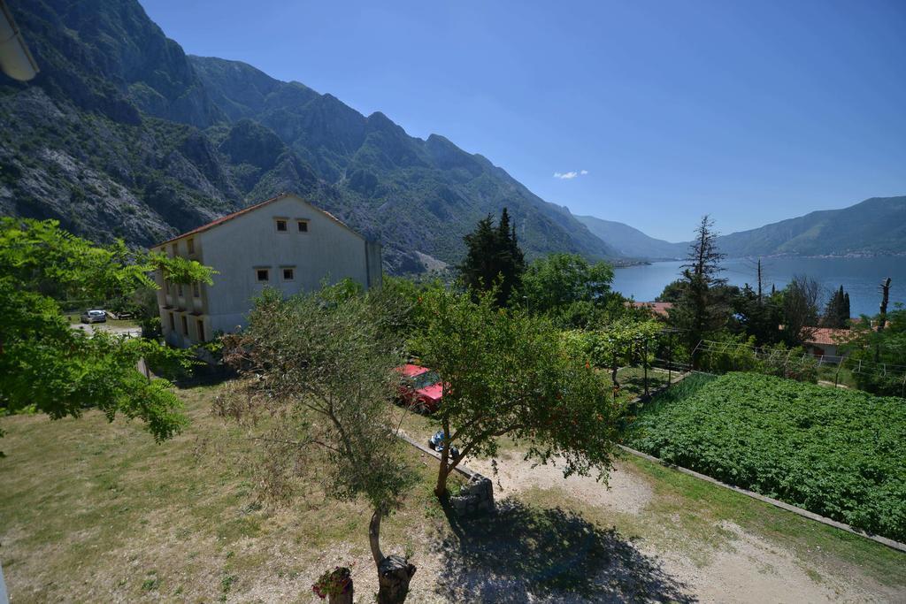 B & M Apartments Kotor Extérieur photo